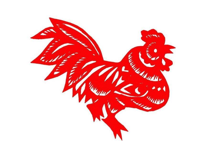 十雞九順！陽歷「這個月出生的雞人」先苦後甜　註定享受輝煌人生