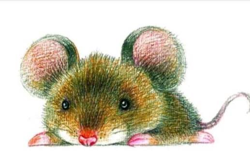 過年別只穿紅色！十二生肖「穿對的顏色」好運一整年