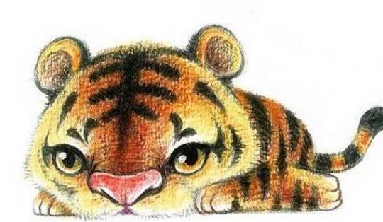 過年別只穿紅色！十二生肖「穿對的顏色」好運一整年