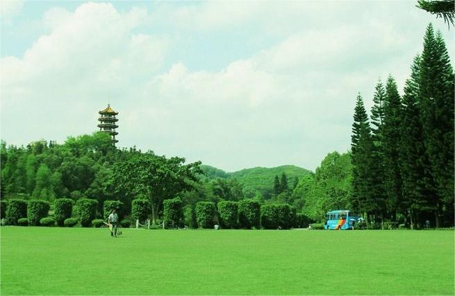 每月有7萬退休金！我和老伴「為了孫子成月光族」　偷聽「兒媳打電話後」才幡然悔悟