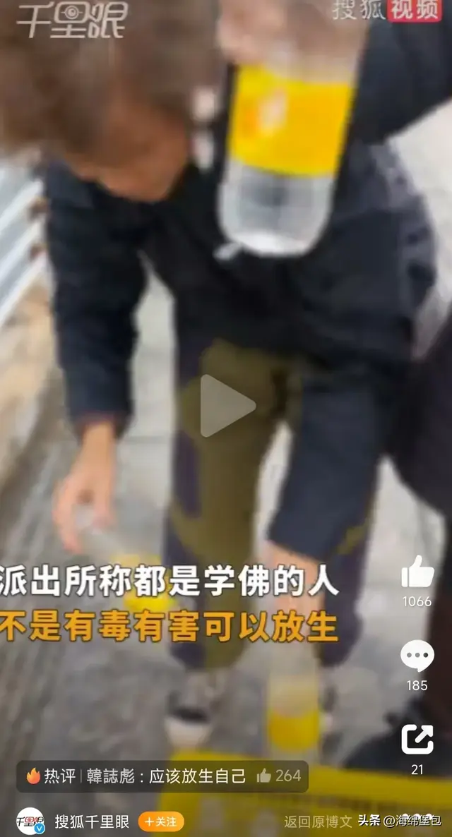 橋上驚見「大媽集體狂倒放生」！他本想怒報警「靠近一看傻眼」：這能罰嗎？