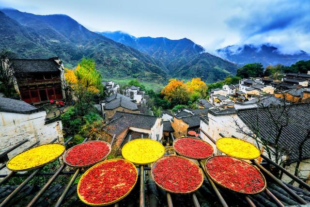 小時候家貧！我和媽媽「走3小時山路」去舅家拜年　舅媽「陰陽怪氣的一句話」我們再也不去了