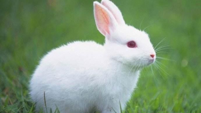 金龍年要注意！命理專家「點名3生肖」病死喪入命宮　尤其「這年出生」家人都遭牽連