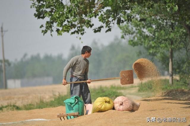 25年前為了兒子！我把「二女兒送給親戚養」漸漸遺忘　今想把女兒認回來「但是很多人都叫我別去打擾她」怎麼辦