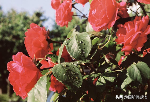家有「3大生肖」不得了！大災大病不進門　「再窮也能變富翁」你上榜了嗎？