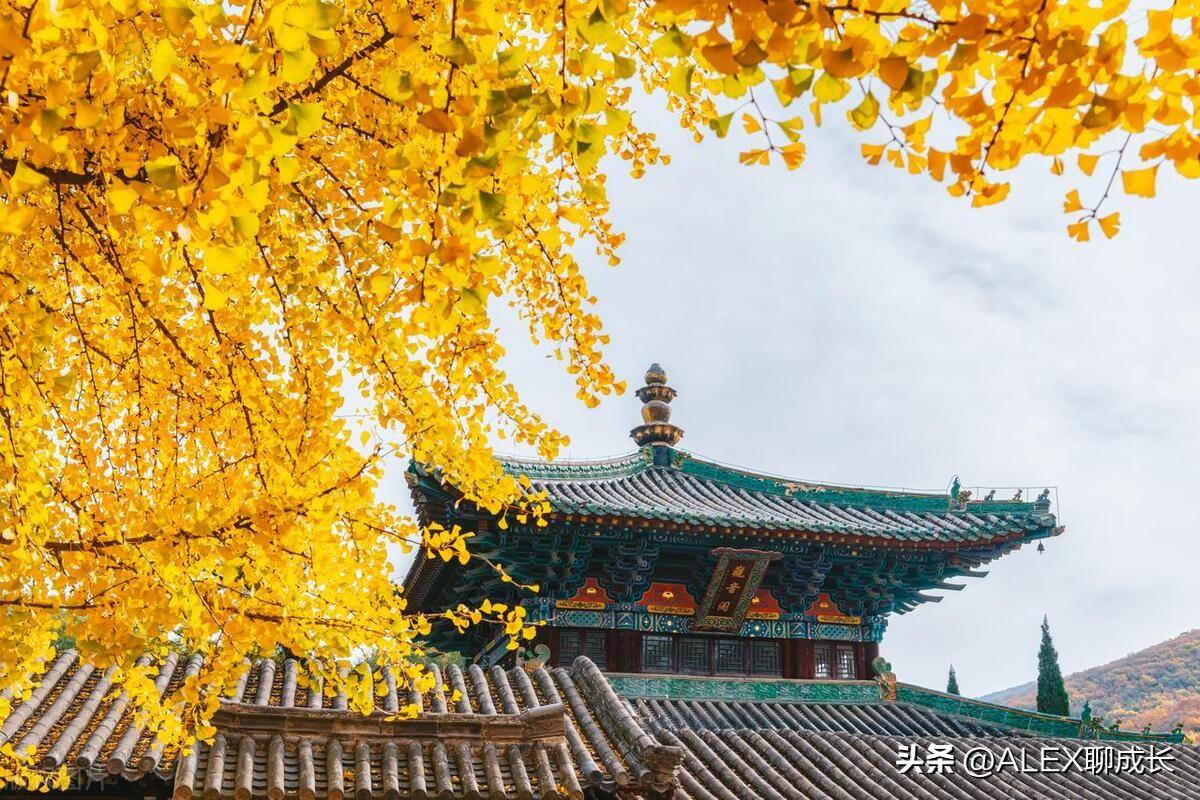 不是迷信！嗓門特別大的人，往往有「3種命運」：有科學依據的