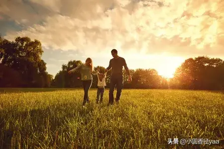爸媽把房間給姐姐姐夫住！我只能睡客廳「婚事差點黃了」　如今卻上「我家來養老」我回一句話：被罵是白眼狼