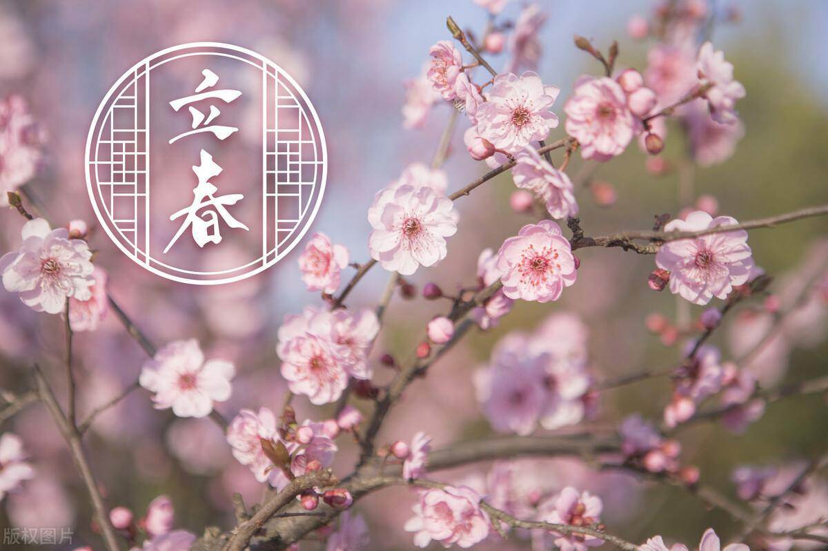 2月4日立春「全年磁場最旺一天」!記得穿「一顏色衣服」:馬年大吉大利、健康好運不斷