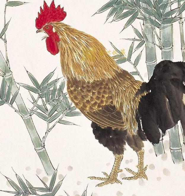 生肖雞:特別是1957年、1969年、1981年出生的人 快來接喜吧