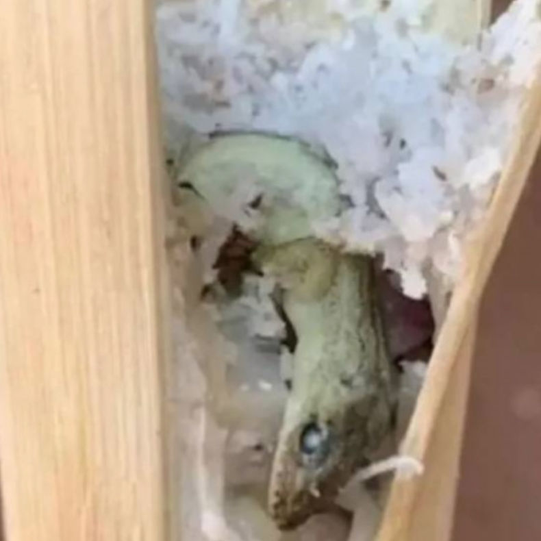 女子買竹筒飯「聞到烤肉香」心喜好美味　一撬開「畫面讓她傻住」：跟我開玩笑嗎？