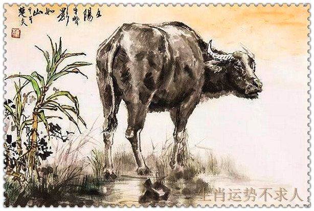 春節「5生肖」運勢大噴發！數錢數不完　屬虎者「雙喜臨門」桃花滾滾來