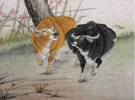 春節「5生肖」運勢大噴發！數錢數不完　屬虎者「雙喜臨門」桃花滾滾來