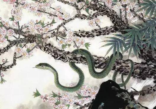 徹底翻身了！1月不富「2月大富」的5大生肖