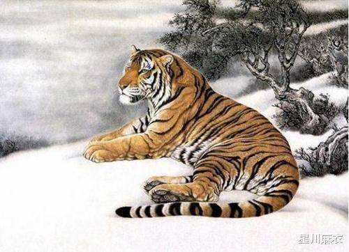 大喜降臨！家有這3大生肖「吃苦越多」福氣就越厚　年後「財運擋不住」要暴富 