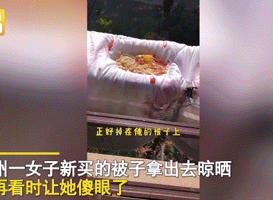 新買了一床棉被！本想先放陽台晾曬後用　中途再看時「卻被嚇到腿軟」網友：趕快報警