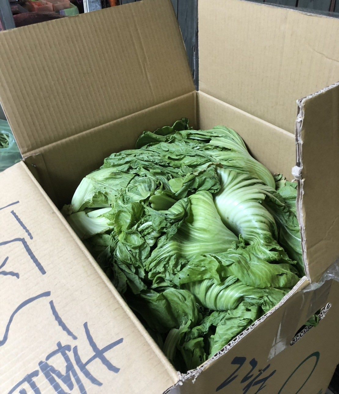 年貨採買小心！北市衛生局「抽查年節蔬菜」結果曝光　這道菜必吃「竟含有漂白劑」：還查出殺蟲劑