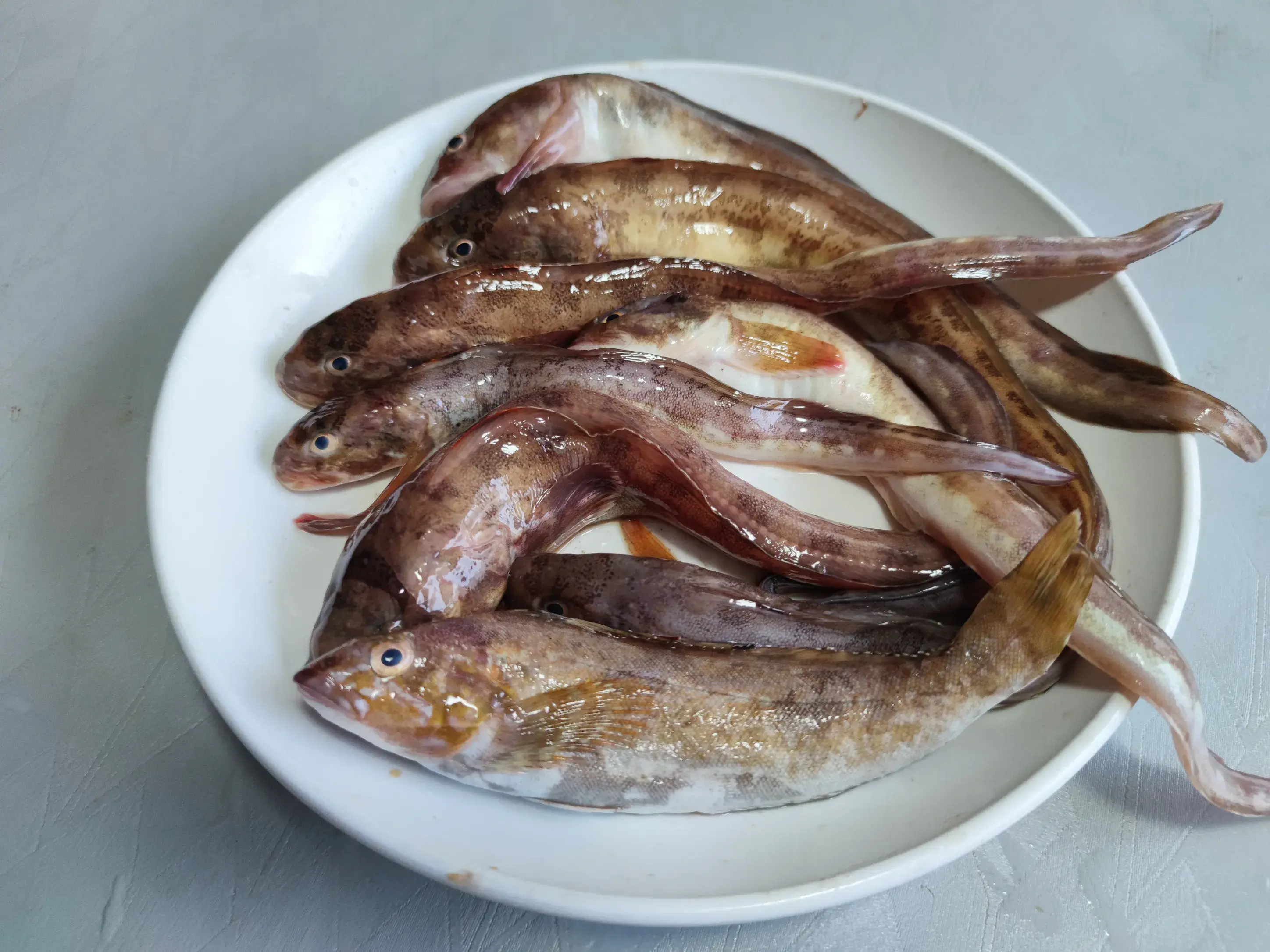 年夜飯吃魚有講究！「3種魚不吉利」千萬別端上桌　早知早受益：吃對了才會年年有餘富