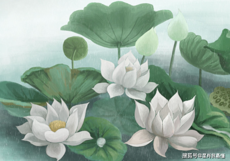  2月「中旬」時來運轉！「4屬相」財源廣進，事業進步：生活錦上添花 