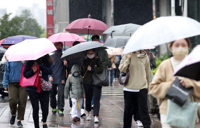 春雷響了！過年春節「大雨連下3天」時間點曝光　迎強烈冷氣團「低溫跌破7度」