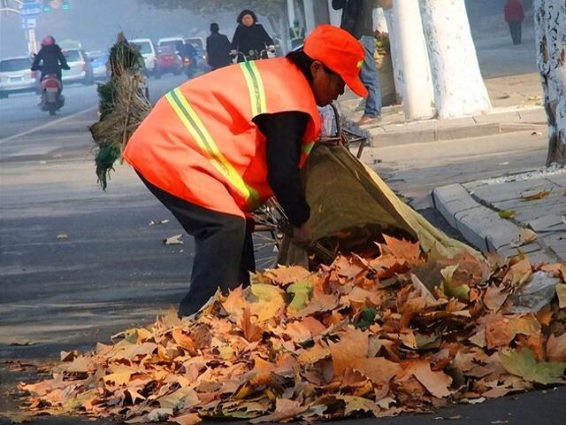 從貧困到感恩：一段跨越數十年的深厚友誼與互助