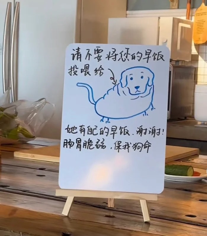 告示稱「店狗放屁過臭」暫停接客！民宿逗趣貼文引網友敲碗：好想看本狗！