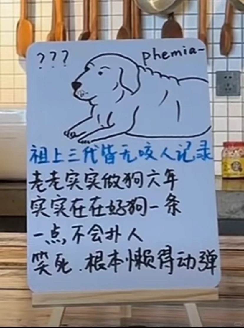 告示稱「店狗放屁過臭」暫停接客！民宿逗趣貼文引網友敲碗：好想看本狗！
