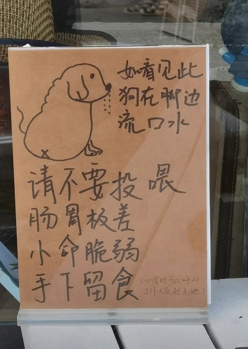告示稱「店狗放屁過臭」暫停接客！民宿逗趣貼文引網友敲碗：好想看本狗！