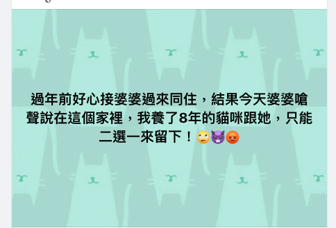 過年好心接婆婆回家團圓！一見有貓「一臉鄙視」還嗆：你要留貓還是留我？
