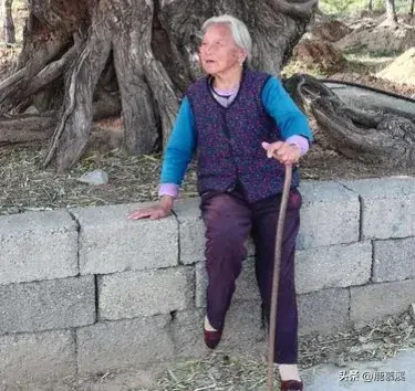 長壽真的是福氣嗎？98歲奶奶「熬走了3個兒子」　最後一個兒子「長照3年後」說：我早晚走在她前面