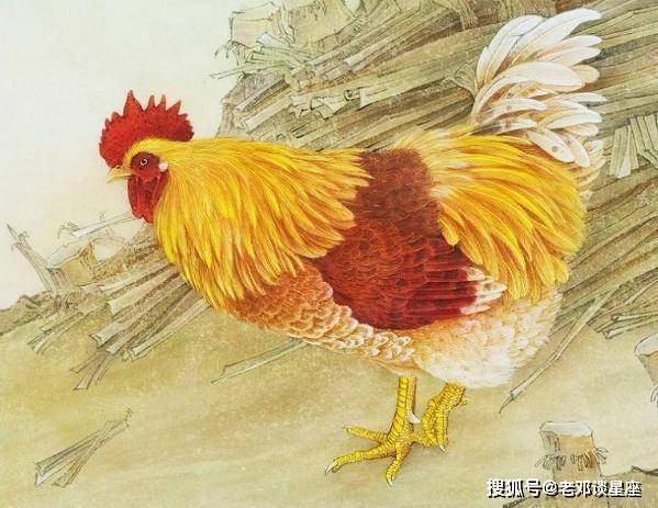 未來10天！賺取萬貫家產，「3大屬相」得貴人指路：再也不操心錢 
