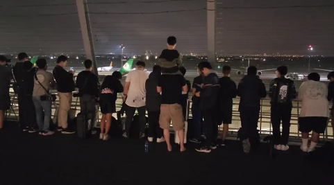 史上最可愛飛機！超Q「小白鯨造型」療癒又吸睛　一著地「呆萌大頭打開瞬間」全球融化：好想被載❤️