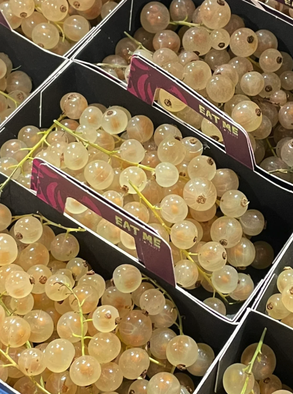 好像透亮珍珠！留學生逛市場「發現神秘水果」連老闆也沒看過　專業網友解答「好吃又營養」