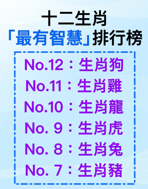 屬猴精明才排第5！12生肖「智商排行」大公開　屬狗人容易盲目信賴「冠軍看來老實其實最聰明」