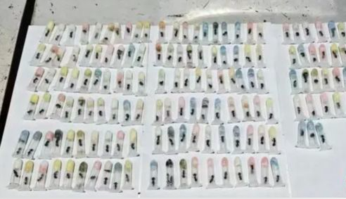 男子入海關走路鬼鬼祟祟！被攔下「掀開衣服」裡面竟綁了163隻活體