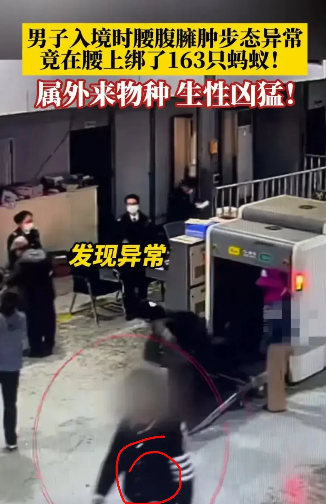 男子入海關走路鬼鬼祟祟！被攔下「掀開衣服」裡面竟綁了163隻活體