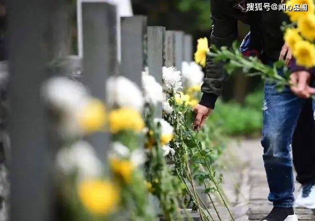  「三人不掃墓，去了家難順」！清明時節，「這3種人」千萬別去掃墓：可別不信 