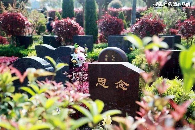  「三人不掃墓，去了家難順」！清明時節，「這3種人」千萬別去掃墓：可別不信 
