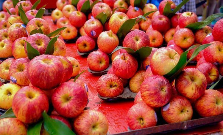  清明節祭祖！攜帶水果有講究，牢記「5帶5不帶」：尊重傳統別搞錯 