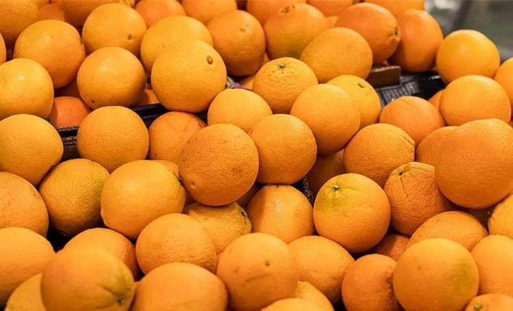  清明節祭祖！攜帶水果有講究，牢記「5帶5不帶」：尊重傳統別搞錯 