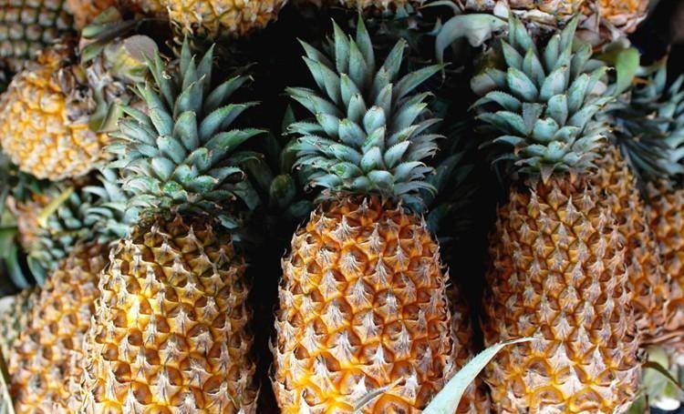  清明節祭祖！攜帶水果有講究，牢記「5帶5不帶」：尊重傳統別搞錯 