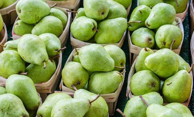  清明節祭祖！攜帶水果有講究，牢記「5帶5不帶」：尊重傳統別搞錯 