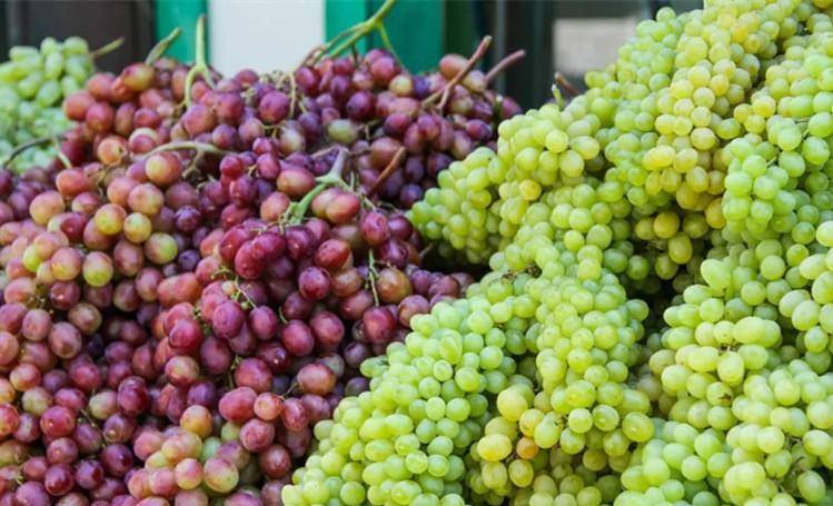  清明節祭祖！攜帶水果有講究，牢記「5帶5不帶」：尊重傳統別搞錯 