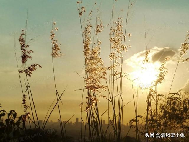 兄弟姐妹之間！如果發生「這兩件事」撕破臉：手足親情真的走到盡頭了