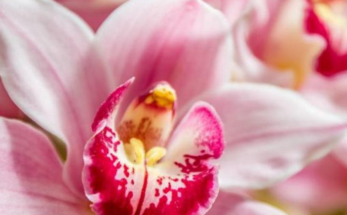 「財旺三年,得罪不起」!4生肖大難已過,喜事登門「買彩票中大獎」:4月中旬轉運成