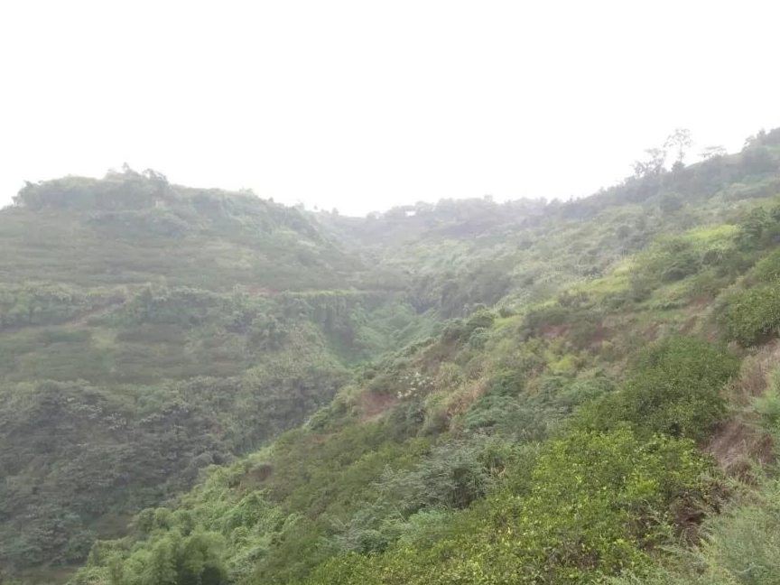 「財旺三年,得罪不起」!4生肖大難已過,喜事登門「買彩票中大獎」:4月中旬轉運成