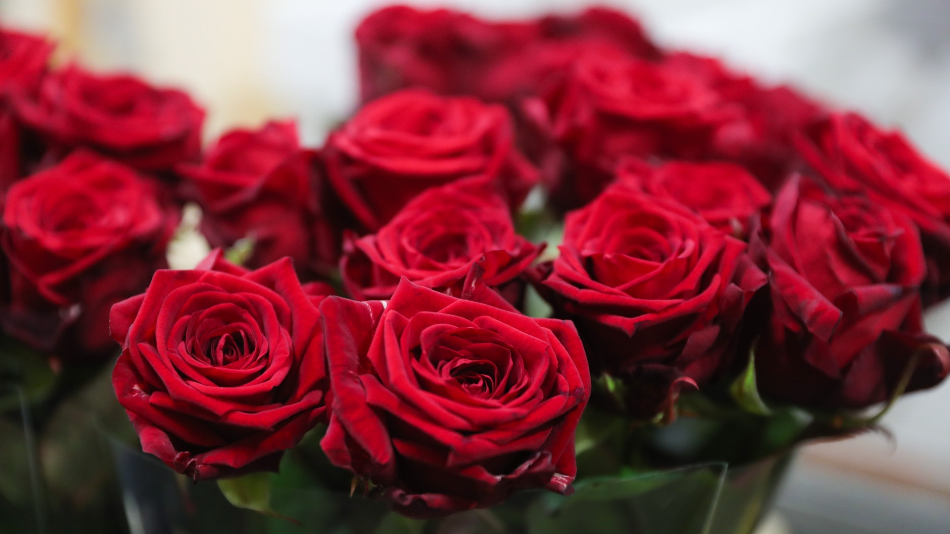 第一眼看到「女子、小狗或玫瑰」?秒測出你未來「下半生會過得悠閒或辛苦」:超準