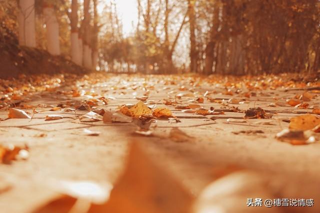 媳婦長得很漂亮！兒子婚前「我們第一次與未來親家見面」　但「看到親家公指了指腹部」我嚇出一身冷汗