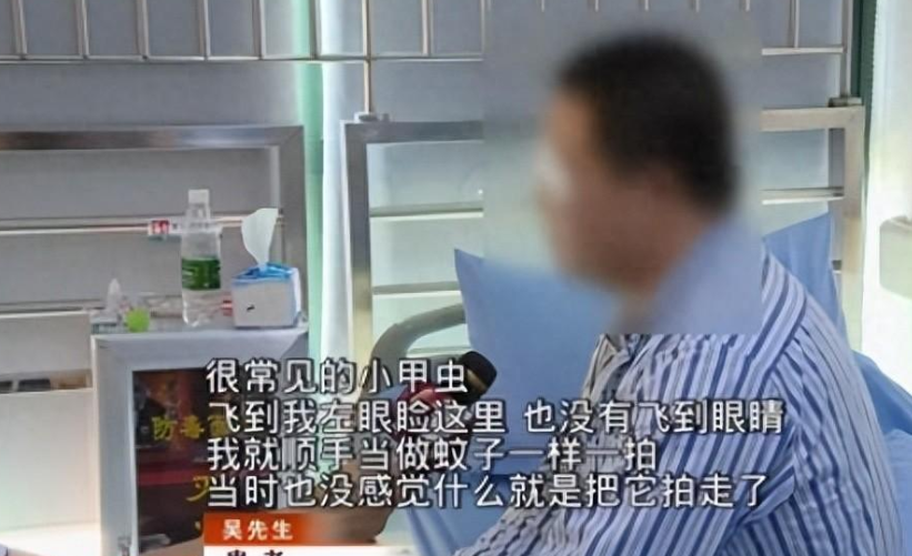 夏天特別多！衛生間的「小飛蟲」是什麼　它的危害超出你想象：教你3招消滅