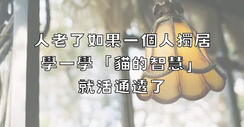 人老了，如果一個人獨居，學一學「貓的智慧」，就活通透了