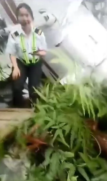 驚傳墜機意外！整架飛機「機頭朝下嚴重毀損」　機翼撞到斷裂「受傷人數曝光」